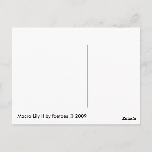 Macro Lily II Briefkaart (Achterkant)