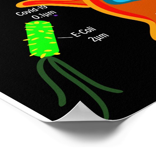 Macro Microbiology Poster (Hoek)