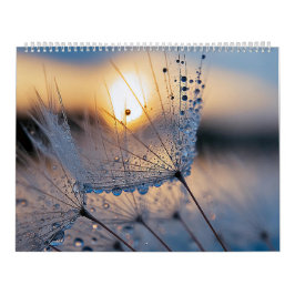 Macro natuur foto's kalender