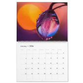 Macro natuur foto's kalender (Jan 2026)