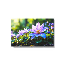 Macro Paarse Bos Wilde Bloemen met Dauw