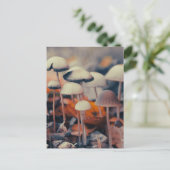 Macro Paddenstoelen Briefkaart (Staand voorkant)