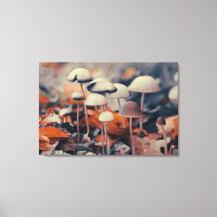 Macro Paddenstoelen Canvas Afdruk