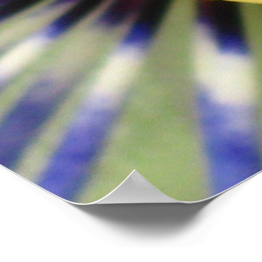 Macro Passion Poster (Hoek)