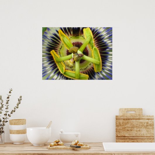 Macro Passion Poster (Keuken)