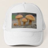 Macro-Pet van Tiny Toadstools Trucker Pet (Voorkant)