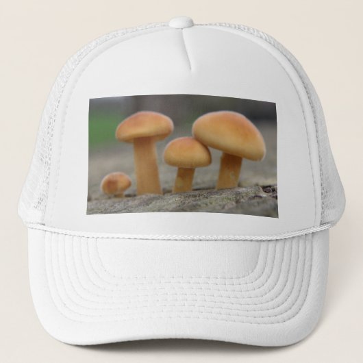 Macro-Pet van Tiny Toadstools Trucker Pet (Voorkant)