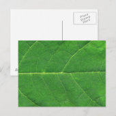 Macro Photo Leaf Briefkaart (Voorkant / Achterkant)