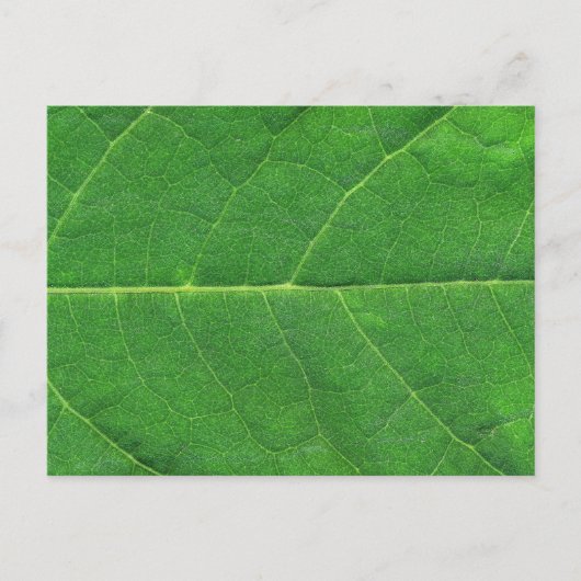 Macro Photo Leaf Briefkaart (Voorkant)
