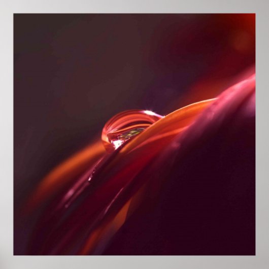 Macro Red-blad Poster (Voorkant)