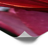 Macro Red Lily Floral Poster afdrukken (Hoek)