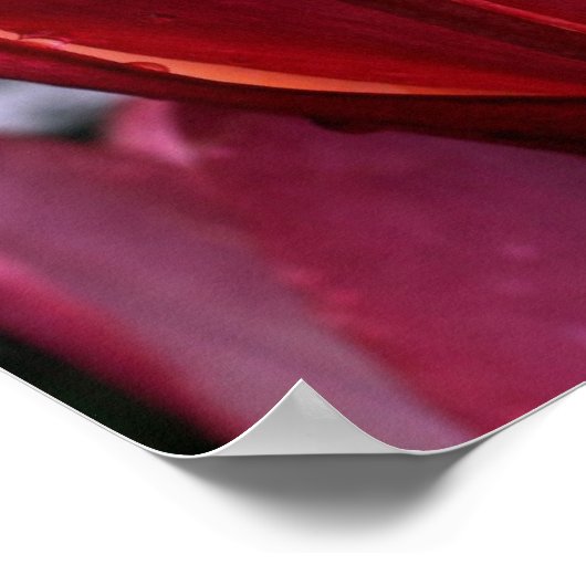 Macro Red Lily Floral Poster afdrukken (Hoek)