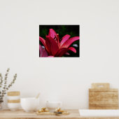 Macro Red Lily Floral Poster afdrukken (Keuken)