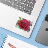 Macro Red Rose Sticker (Laptop met iPhone)