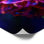 Macro Reverie Dream Poster (Hoek)