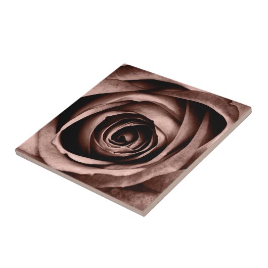 Macro-Roos Tegeltje (Zijkant)