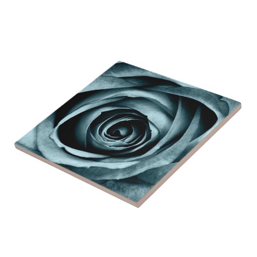 Macro-Roos Tegeltje (Zijkant)