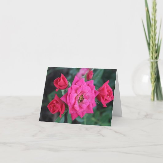 Macro Roze Roos voor Moederdag  Feestdagen Kaart (Voorkant)