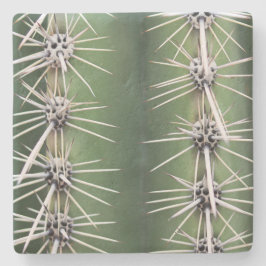 Macro Saguaro Cactus, Arizona, onderzetter van vie