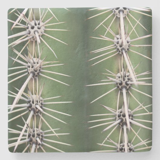 Macro Saguaro Cactus, Arizona, onderzetter van vie (Voorkant)