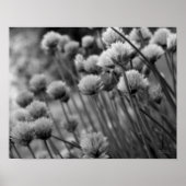 Macro Scallion Floral Black White Print (Voorkant)