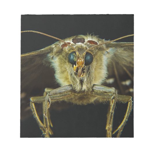 Macro Sluiting van vlinder Notitieblok (Voorkant)