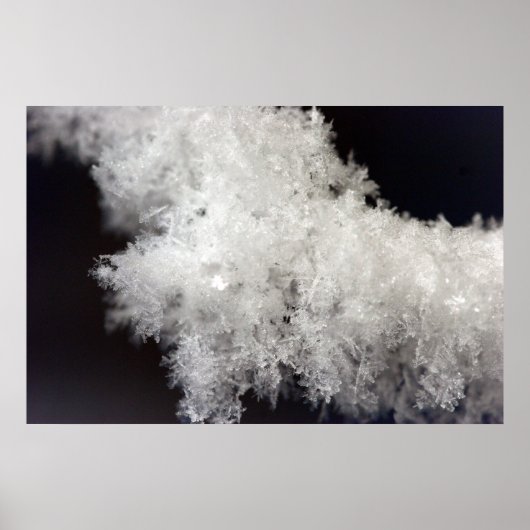 Macro Snowflake Poster (Voorkant)