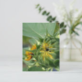 Macro Sunflower Awakening Natuur Briefkaart (Staand voorkant)