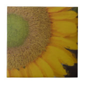 Macro Sunflower Centre Floral Art Tile Tegeltje (Voorkant)