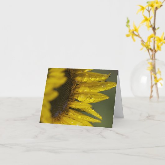 Macro Sunflower Kaart (Gele Bloem)