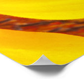 Macro Sunflower Poster (Hoek)