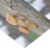 Macro Tablecloth, tiny Toadstools Tafelkleed (Gekanteld)