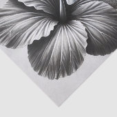 Macro-Uitzicht van een honingbij Tissuepapier (Detail)