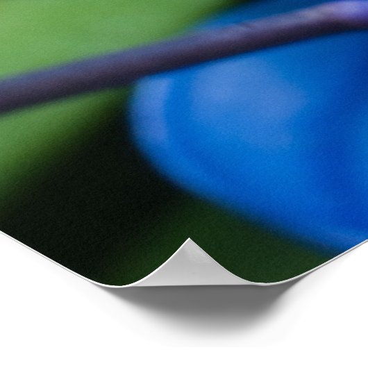 Macro van blauwe sneeuwbloem poster (Hoek)