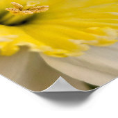 Macro van dichtbij Gele Narcis Bloem Fotografie Poster (Hoek)