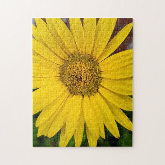 Macro van gele bloemen legpuzzel (Verticaal)