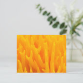 Macro van paddenstoel briefkaart (Staand voorkant)