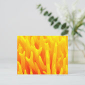 Macro van paddenstoel briefkaart (Staand voorkant)