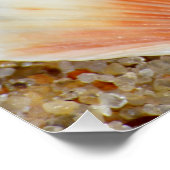 Macro van Scallop Zee Shell in het zand op het str Perfect Poster (Hoek)
