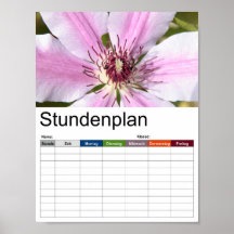 Macro van witte en paarse "Clematis"