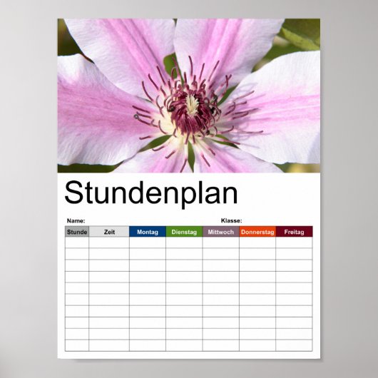 Macro van witte en paarse "Clematis" Poster (Voorkant)