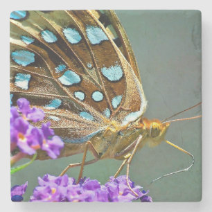 Macro-vlinder Stenen Onderzetter