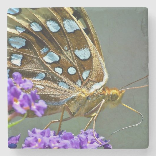 Macro-vlinder Stenen Onderzetter (Voorkant)