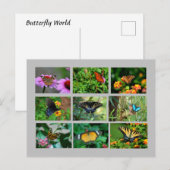 Macro Vlinders briefkaart (Voorkant / Achterkant)