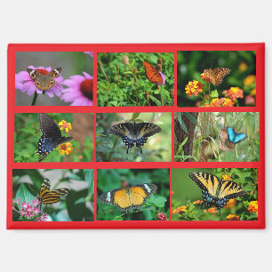 Macro Vlinders briefkaart Magneet