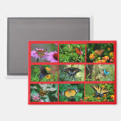 Macro Vlinders briefkaart Magneet (Voorkant / Achterkant)