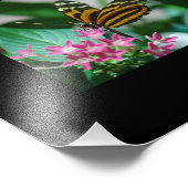 Macro Vlinders Foto Vergroting Foto Afdruk (Hoek)