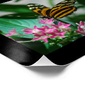 Macro Vlinders Foto Vergroting Perfect Poster (Hoek)