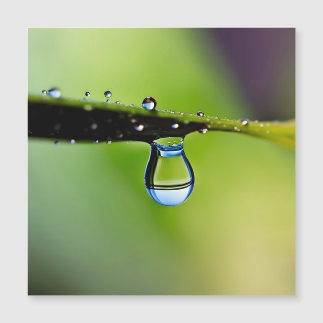 Macro waterdruppels (Voorkant)