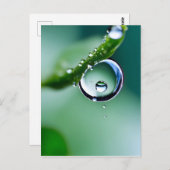 Macro waterdruppels briefkaart (Voorkant / Achterkant)